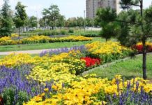 Csaknem 80 díjjal ismerték el a Virágos Magyarország verseny idei nyerteseit