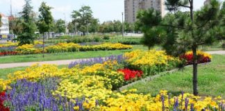 Csaknem 80 díjjal ismerték el a Virágos Magyarország verseny idei nyerteseit