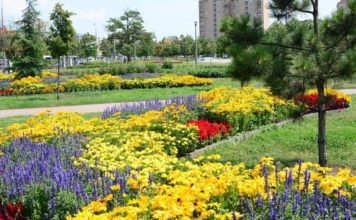 Csaknem 80 díjjal ismerték el a Virágos Magyarország verseny idei nyerteseit