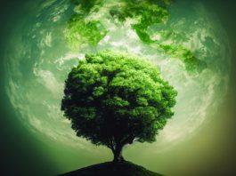 Három fő részből áll majd a Planet Budapest 2023