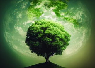 Három fő részből áll majd a Planet Budapest 2023