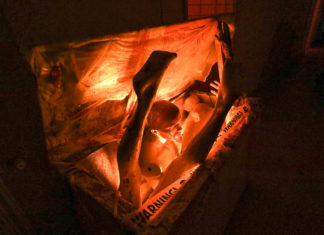 Zombivadászat, pankrátor show és hidegrázós akrobatika a Rettegések Éjszakáján