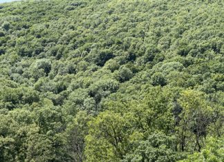 Várgesztes igazi ökológiai csoda