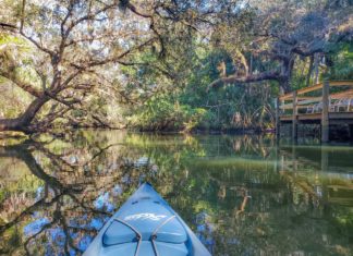 Reneszánszukat élik a vándortáborok