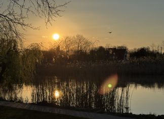Dunaharaszti, ahol mindent átölel a természet