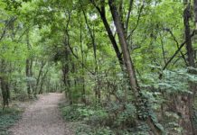 Természet és történelem: Székesfehérváron jártunk