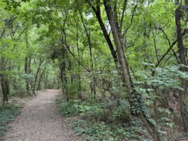 Természet és történelem: Székesfehérváron jártunk