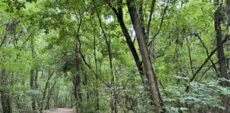 Természet és történelem: Székesfehérváron jártunk