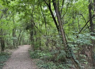 Természet és történelem: Székesfehérváron jártunk