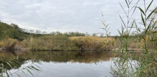 Sárospatak természeti kincseit látnia kell!