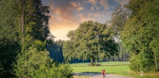 SIC Cycling Cup – az amatőröknek is megnyílik az országúti versenyzés világa