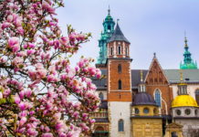 Krakkó már csak egy órára Budapesttől – új korszak kezdődik a közlekedésben