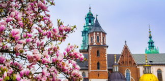 Krakkó már csak egy órára van Budapesttől – új korszak kezdődik a közlekedésben