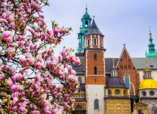 Krakkó már csak egy órára Budapesttől – új korszak kezdődik a közlekedésben