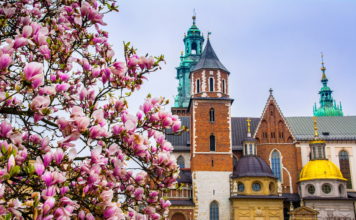 Krakkó már csak egy órára van Budapesttől – új korszak kezdődik a közlekedésben